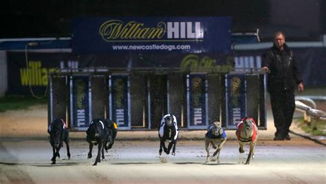 william hill greyhound racing live|Iba pa.